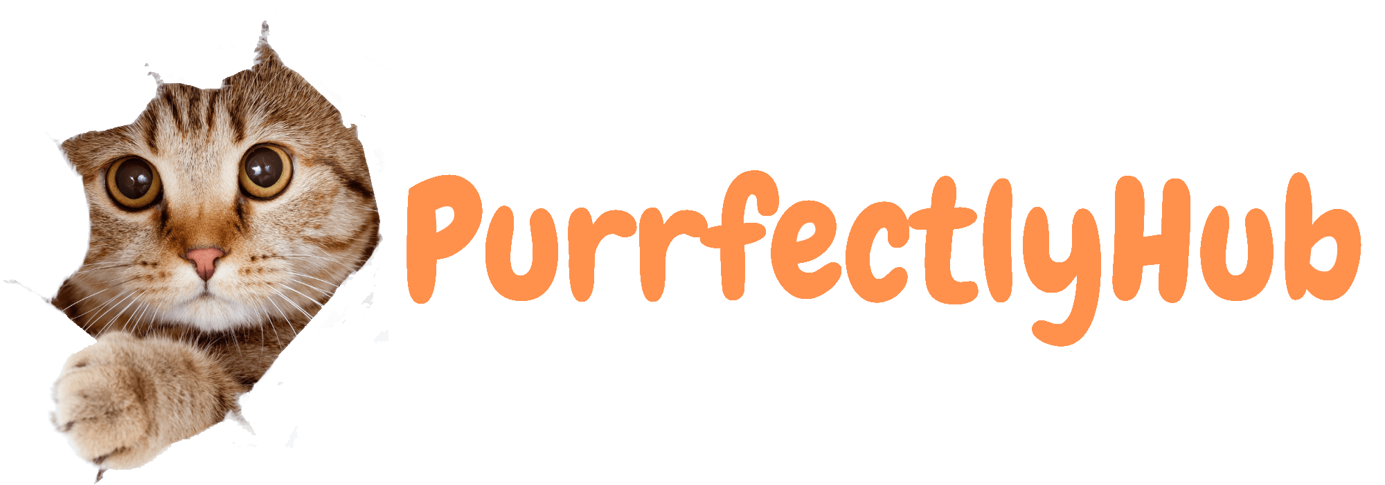 purrfectlyhub logo